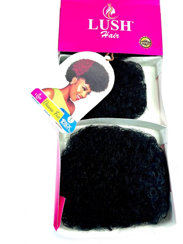Diana Fro - Image 2